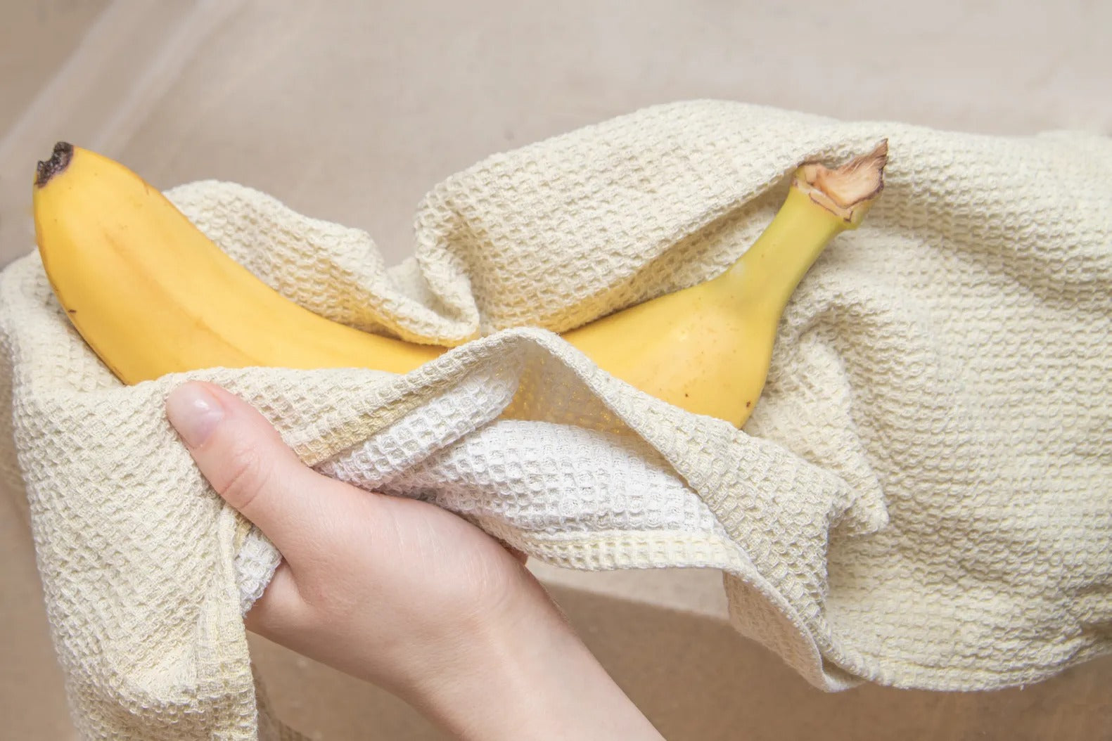 Image of Animal Fantasy Pocket Pussy Care: Clean & Maintain Your Stroker Right