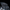 1471-Skulldog pointed ear and black fur texture detail
