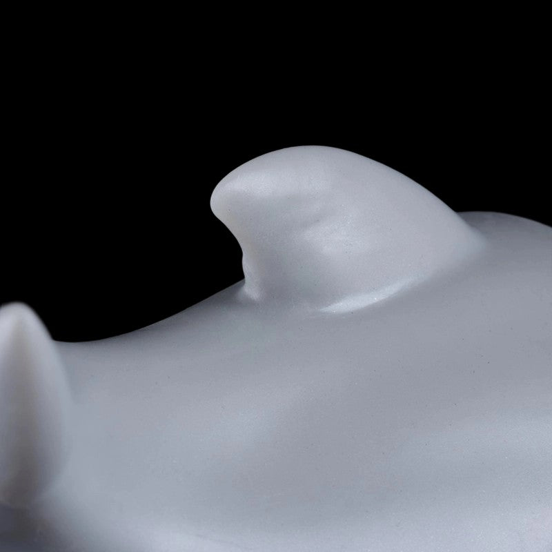 Image of Dolphin Fleshlight: Oceanic Fantasy Masturbator – Dual-Entrance Silicone Stroker