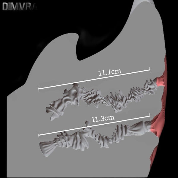 Dolphin Fleshlight: Oceanic Fantasy Masturbator – Dual-Entrance Silicone Stroker