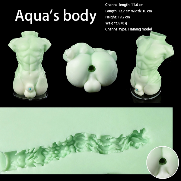 Aqua's Body Size