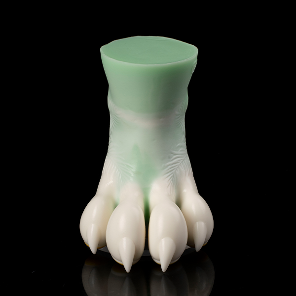 Aqua's Foot