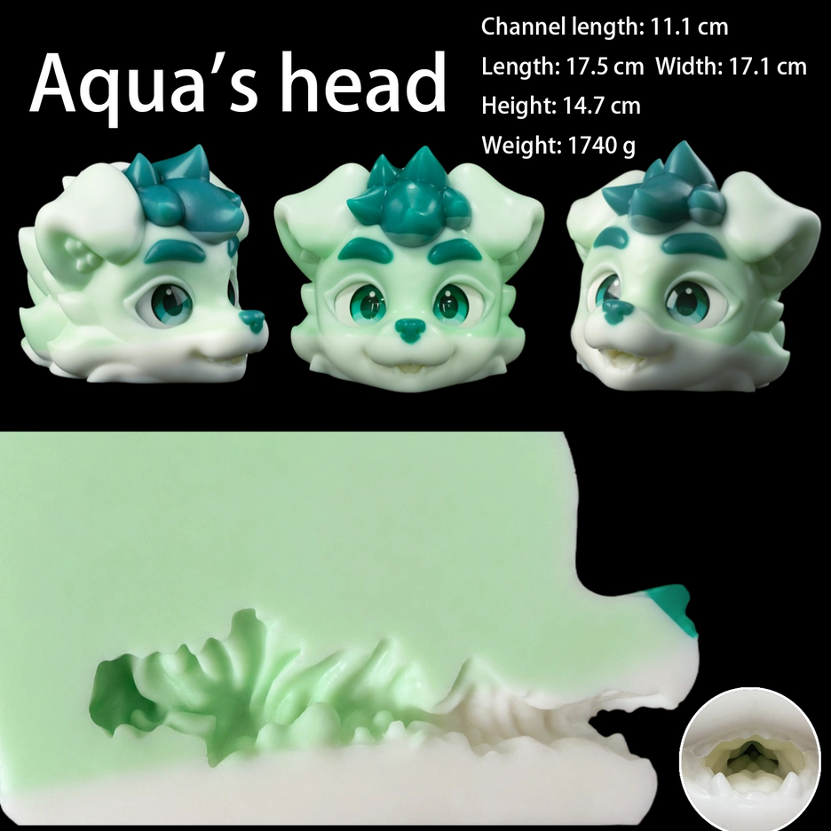 Dimensions of Aqua’s Head