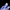 Frostveil — Close-up on Purple Dragon Facial Details