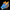 Ghost Flame — Blue Flame Dragon's Head Premium Sculpture