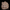 Gryn - Bear Head