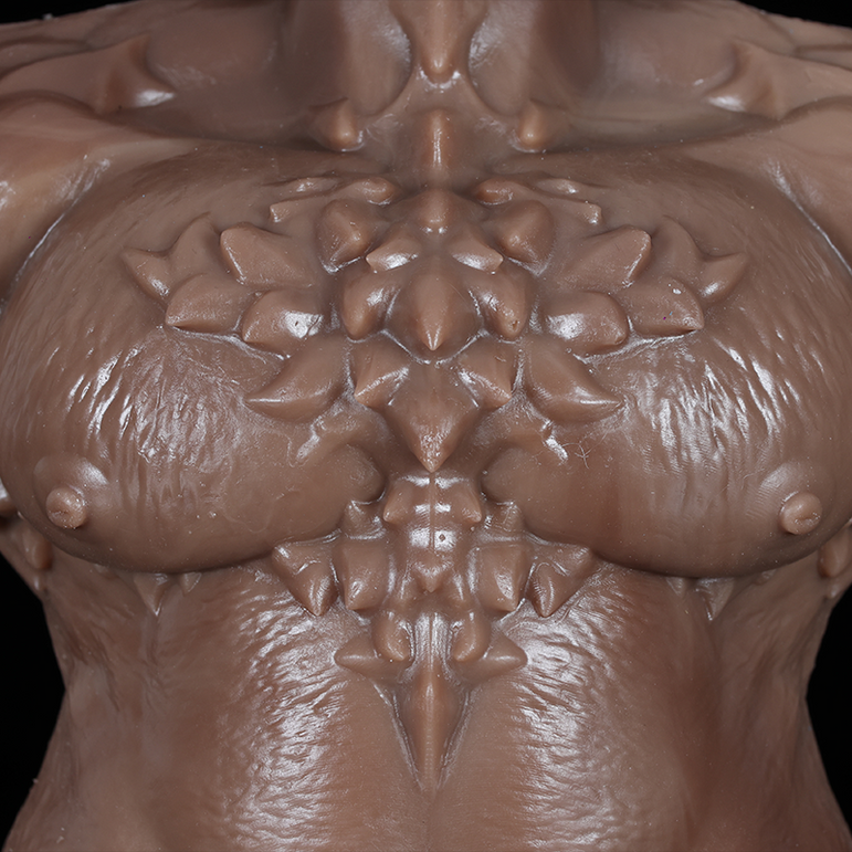 Gryn's Body Front Details