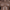 Gryn's Body Front Details