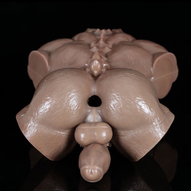 Gryn's Body Highlight Details