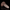 Gryn's Dildos lying down (front view)