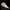 Phosphorus Rock Dragon Tail Close-Up Texture Detail Collectible